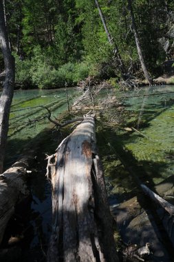 Zümrüt yeşili suyla Valle Stretta Torino 'daki Yeşil Göl manzarası. Yüksek kalite fotoğraf