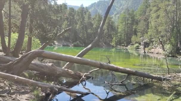 Widok na jezioro Green w Valle Stretta Turyn ze szmaragdową zieloną wodą — Wideo stockowe