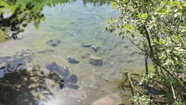 エメラルドグリーンの水で谷ストレッタトリノの緑の湖の景色 — ストック動画