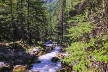 Rio di Valle Caddesi üzerindeki köprüyü uzun süre görebiliyoruz. Yüksek kalite fotoğraf