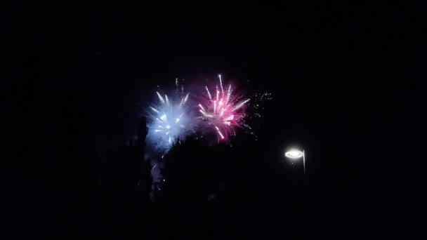 Πυροτεχνήματα Στον Καθαρό Ουρανό Bardonecchina Τορίνο Υψηλής Ποιότητας Πλάνα — Αρχείο Βίντεο