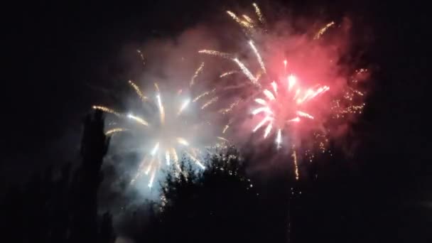 Fuegos Artificiales Cielo Despejado Bardonecchina Turín Imágenes Alta Calidad — Vídeos de Stock