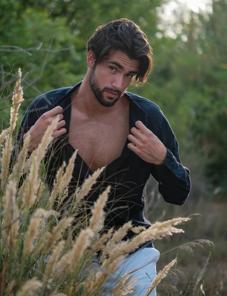 portrait of beautiful dark-haired italian model with light eyes and black shirt with beard in the trees. High quality photo