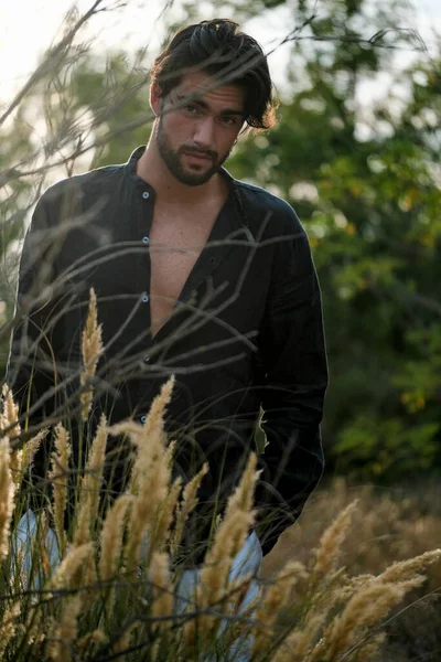 portrait of beautiful dark-haired italian model with light eyes and black shirt with beard in the trees. High quality photo