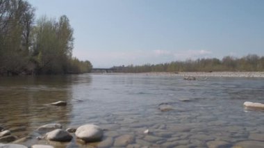 Montecchio 'daki Enza nehri sakin suda güneşli bir günde Emilia Reggio Emilia 