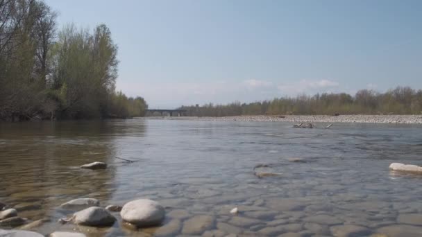 Panoramischer Fluss Enza in Montecchio Emilia Reggio Emilia in ruhigem Wasser sonniger Tag — Stockvideo