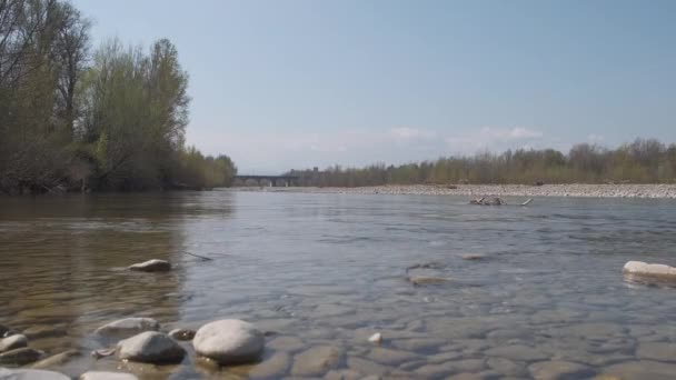 Pebbles Stones River Bed Sunny Day Enza — ストック動画