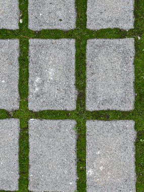 Dikdörtgen şeklindeki gri beton patikaların geometrik, tepeden aşağı bir görüntüsü eklemlerinde canlı yeşil çimenler ve yosunlarla bir ızgara deseni oluşturmuştur. Yüksek kalite fotoğraf