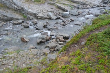 Vahşi bir dağ deresi engebeli, taşlı bir vadide büyük kayaların üzerinden akar. Yeşil tundra bitkileriyle sarp bir banka ve ön planda bir iz görünüyor. Yüksek kalite fotoğraf