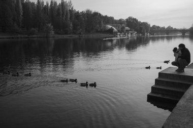 Torino, İtalya: 2022 11 27 Siyah-beyaz fotoğraf Po Nehri 'nde taş basamakların yanında yüzen ördekler, ağaçlar ve arka planda görünen bir köprü. Yüksek kalite fotoğraf