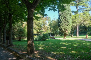 Uzun ağaçlar, yeşil çimenler ve güneşli bir yolda yürüyen bir adamın bulunduğu huzurlu şehir parkı, bir şehir ortamında rahatlamayı, doğayı ve günlük yaşamı aktarıyor. Yüksek kalite fotoğraf