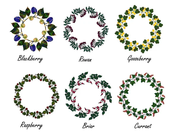 Set of berry frames - wreath — Stock Vector