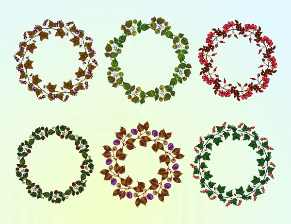 Berry çerçeveleri - dizi çelenk.