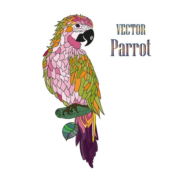 Zentangle stilize çizgi film papağan.