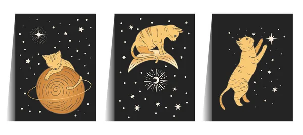 Göksel kedi hayvan kutsal astroloji kartı seti. — Stok Vektör