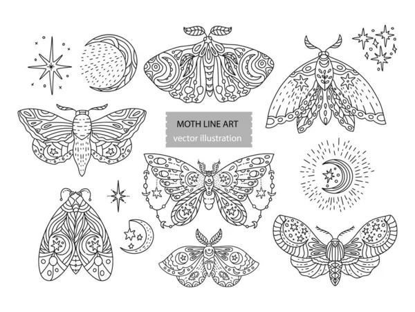 Boho butterfly vector set. — Stock Vector