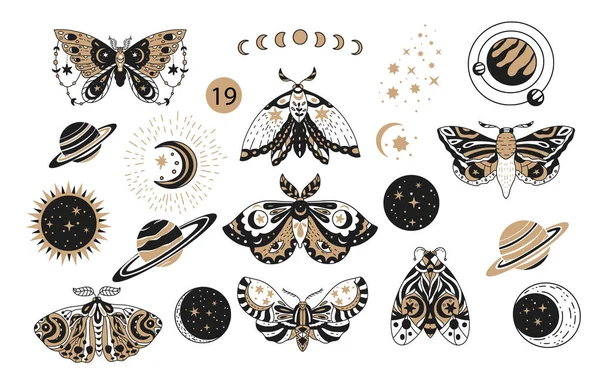 Bohemian boho kelebek dekoratif vektör logosu ayarlandı.