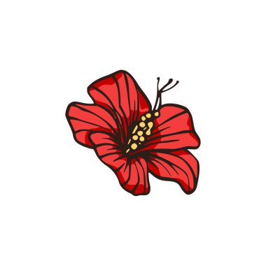 Kırmızı amber çiçeği Hawaii doğası yaz çizimi. 