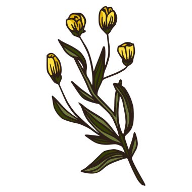 Çiçek sarı çiçek dalı sanat tasarımı.