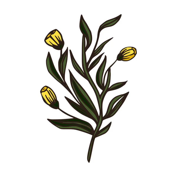 Çiçek sarı çiçek dalı sanat tasarımı. — Stok Vektör