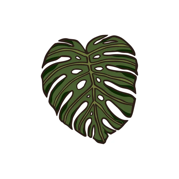 Monstera feuille jungle plante exotique tropical illustration. — Image vectorielle