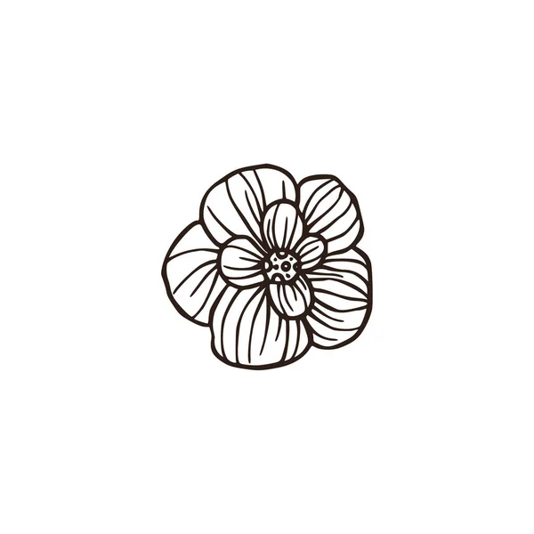 Ana hatlarıyla gül çiçeği. Dekoratif çiçek vektör çizimi. — Stok Vektör