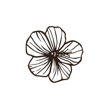 Hudut çiçeği Hawaii doğa yaz illüstrasyonu. 