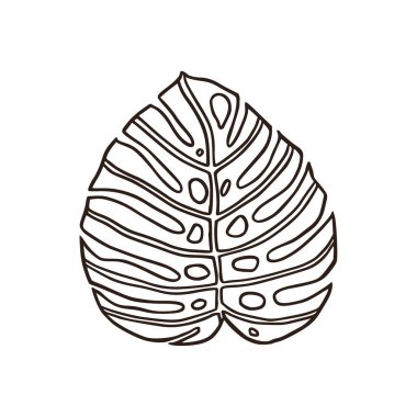 Canavar yaprağı orman bitkisi egzotik tropikal illüstrasyon. 