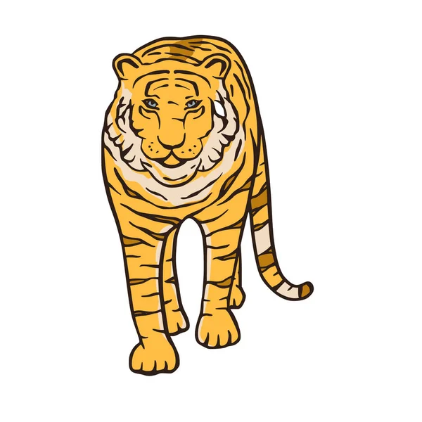 Bengalischer Tiger Karikatur Dschungel Safari tropischen Tier Illustration. — Stockvektor