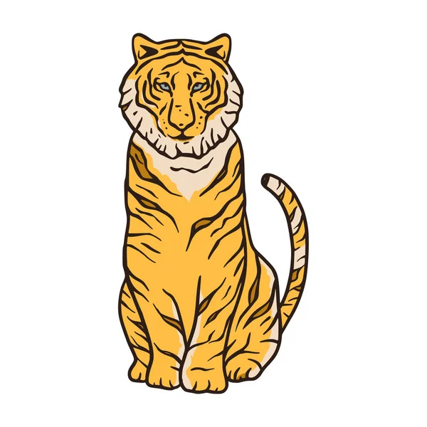 Bengal tiger cartoon jungle safari tropical animal illustration. — Stock Vector