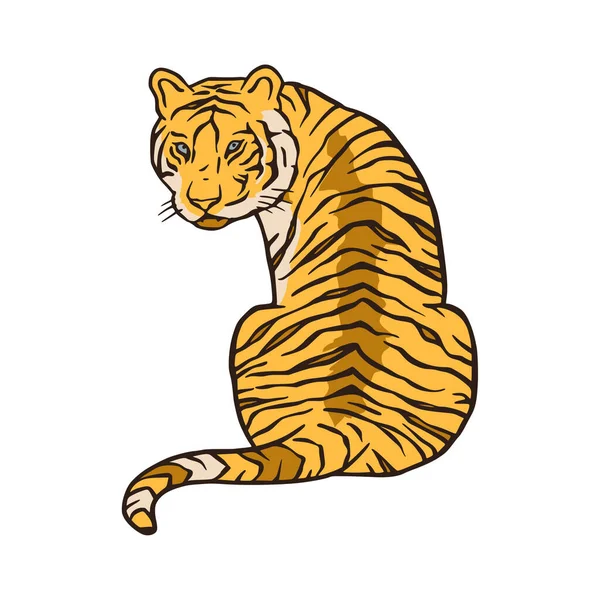 Bengala tigre dibujos animados selva safari animal tropical ilustración. — Archivo Imágenes Vectoriales