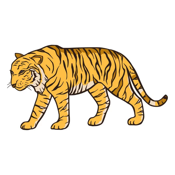 Bengal tiger cartoon jungle safari tropical animal illustration. — Stock Vector