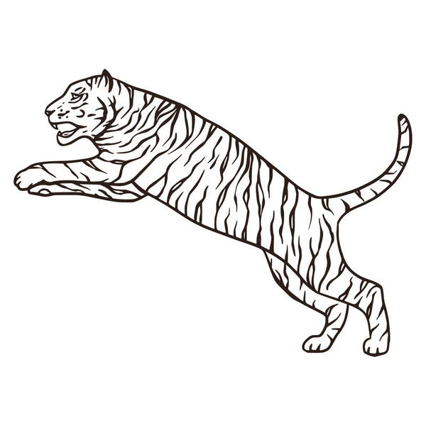 Wild bengal tiger natur säugetier cartoon tier vektorzeichen. — Stockvektor