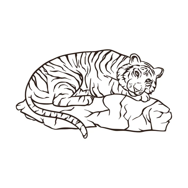 Wild bengal tiger natur säugetier cartoon tier vektorzeichen — Stockvektor