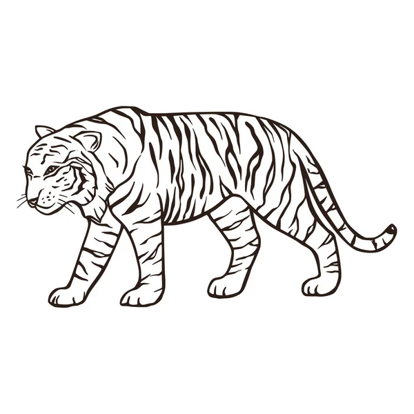 Wild bengal tiger natur säugetier cartoon tier vektorzeichen. — Stockvektor