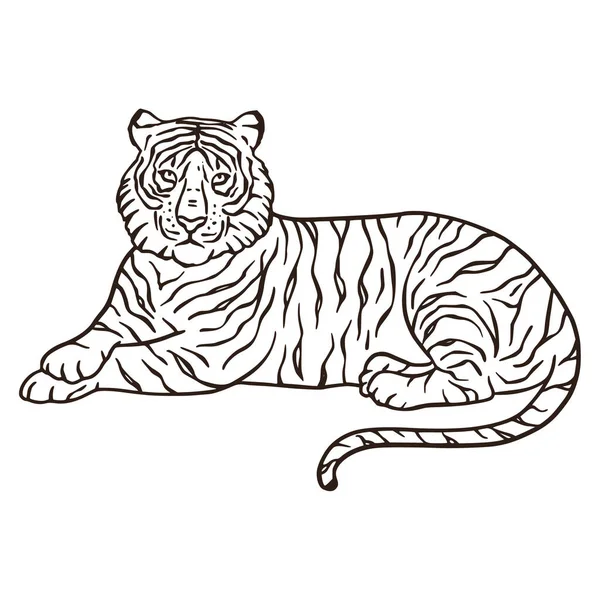 Selvagem bengala tigre natureza mamífero desenho animado animal vetor sinal — Vetor de Stock