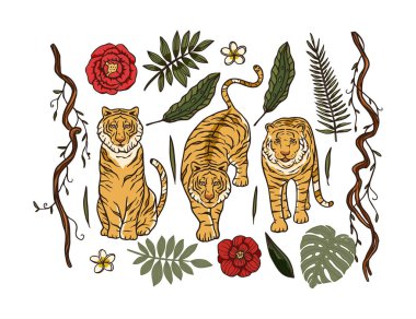 Çizgi film Bengal kaplanı hayvan vektör ormanı tropikal kümesi.