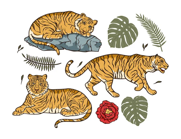 Dibujos animados bengala tigre animal vector selva tropical conjunto. — Vector de stock