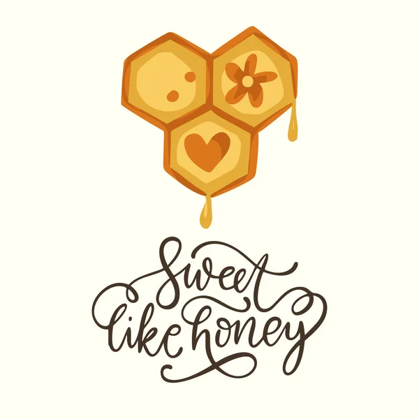 Honeycomb včela roztomilé karty písmo text citace design. — Stockový vektor