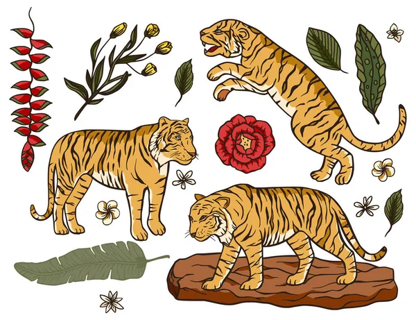 Tigre dibujos animados vector tropical conjunto. — Vector de stock