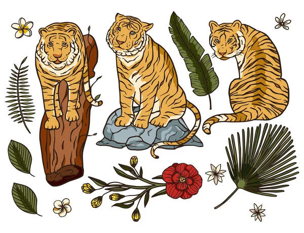 Тигр мультфільм тропічний вектор набір . — стоковий вектор