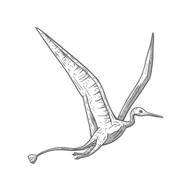 Dinozor çizgi film hayvanı. Şirin jürasik canavar çizimi.