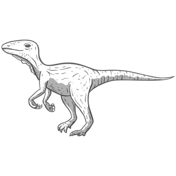 Dinosaur cartoon animal. Cute jurassic monster illustration. — Stock Vector