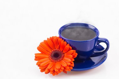 fincan çay ve turuncu gerbera 