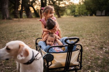 Parktaki bir arabada köpekleriyle oynayan üç küçük kız kardeş.