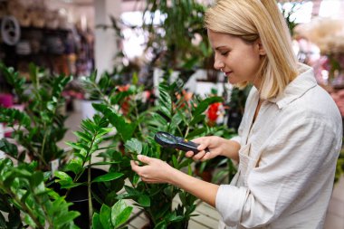 Genç botanikçi bahçenin ortasında büyüteçle bitki yapraklarını inceliyor.