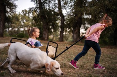 İki genç kız parkta köpekleri ve ikiz kız kardeşleriyle el arabası çekiyorlar.