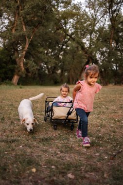 İki genç ikiz kız kardeş dışarıda eğlenceli bir öğleden sonranın tadını çıkarıyorlar. Biri diğerini arabasıyla çekerken, diğeri de köpeğiyle birlikte koşuyor.