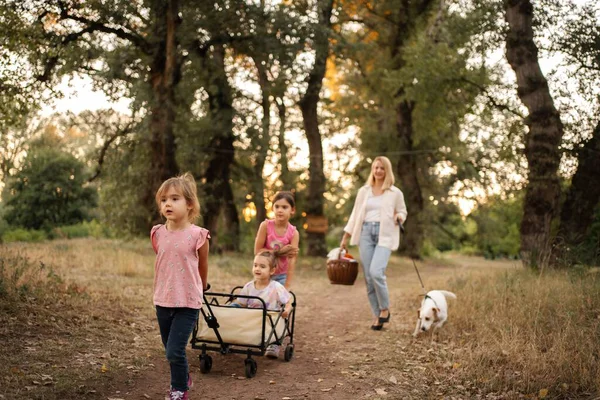 Anne, kızları ve köpekleriyle ormanda yürüyor, yük arabasını çekiyor.
