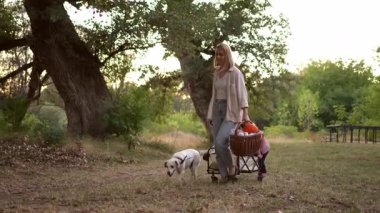 Gün batımında ormanda piknik yerine doğru yürüyen köpekli mutlu bir aile.